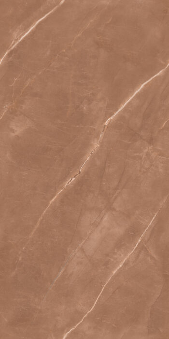 Armani Brown | 600x1200mm | Endless