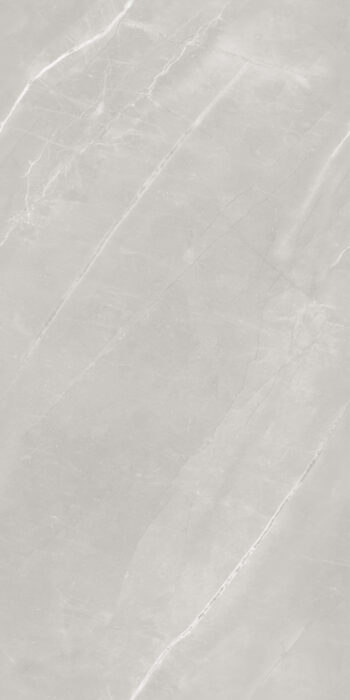 Armani Silver | 600x1200mm | Endless