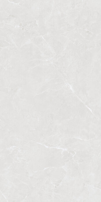 Athena Silver | 600x1200mm | Endless