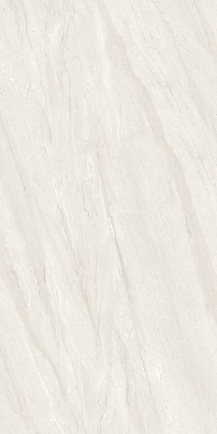 Acacia Grey Acacia Grey | 2x4 ft | Glossy Tiles