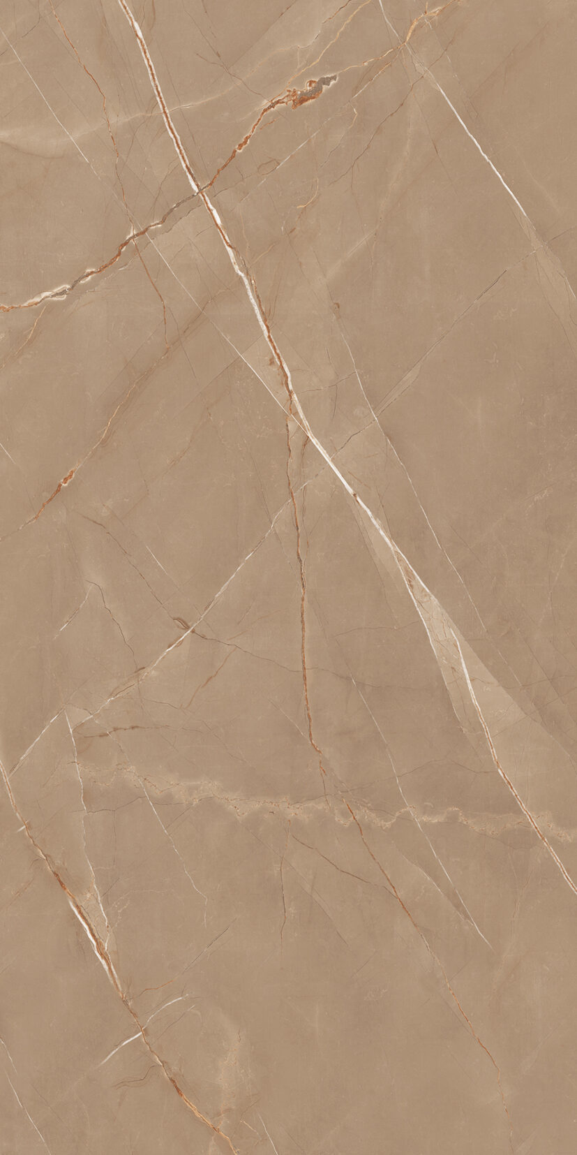Alpain Brown Alpain Brown | 2x4 ft | Glossy Tiles