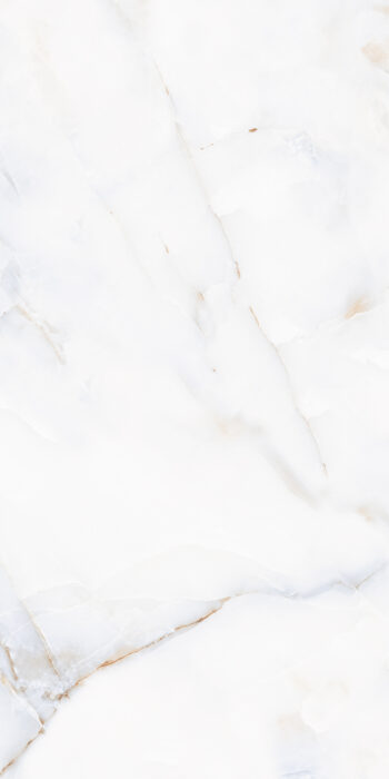 Anty Multy | 2x4 ft | Glossy Tiles
