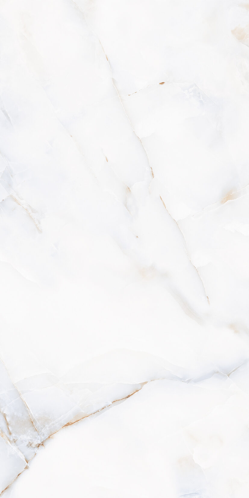 Anty Multy Anty Multy | 2x4 ft | Glossy Tiles