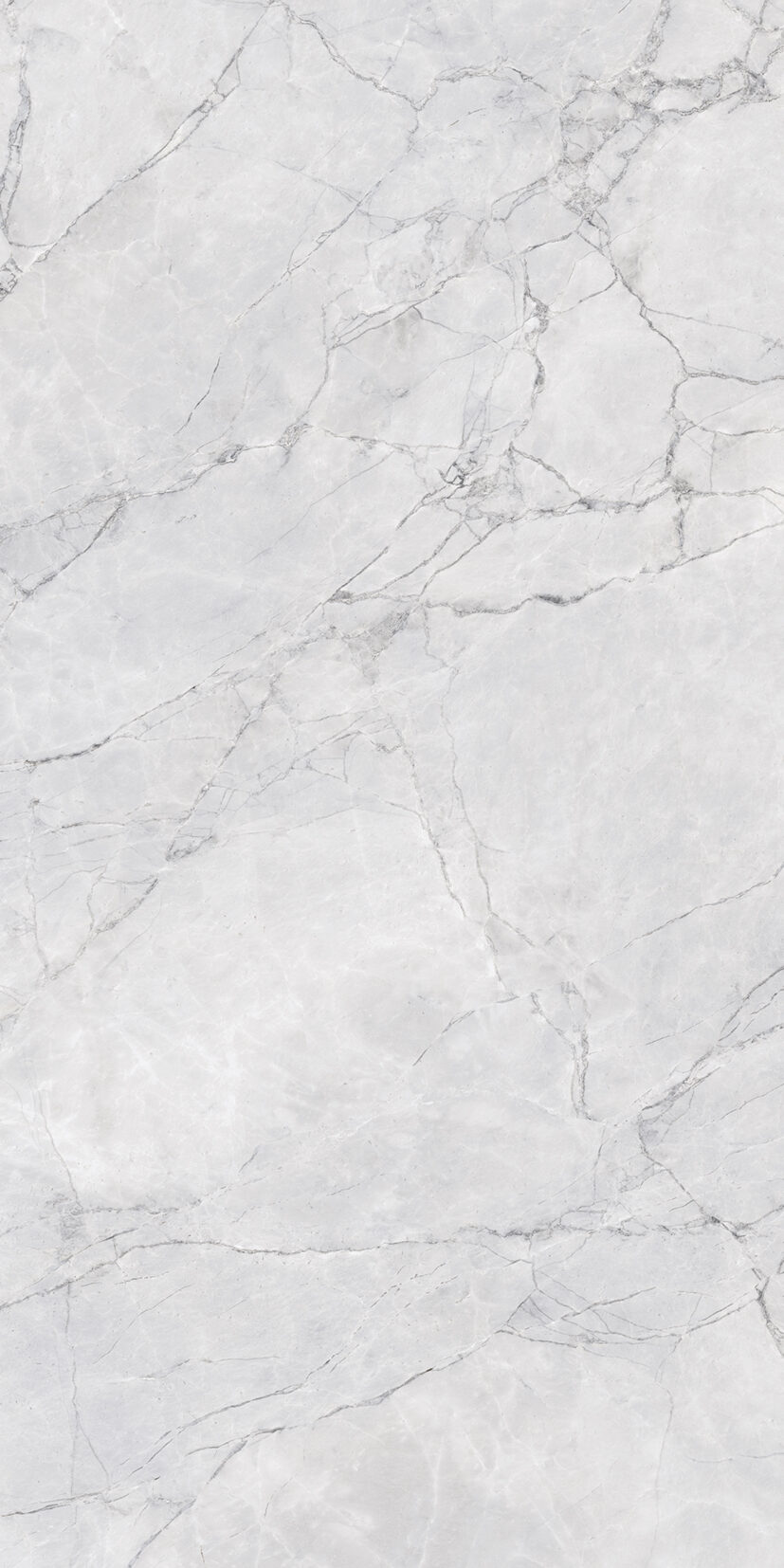 Arabescato White Arabescato White | 2x4 ft | Glossy Tiles