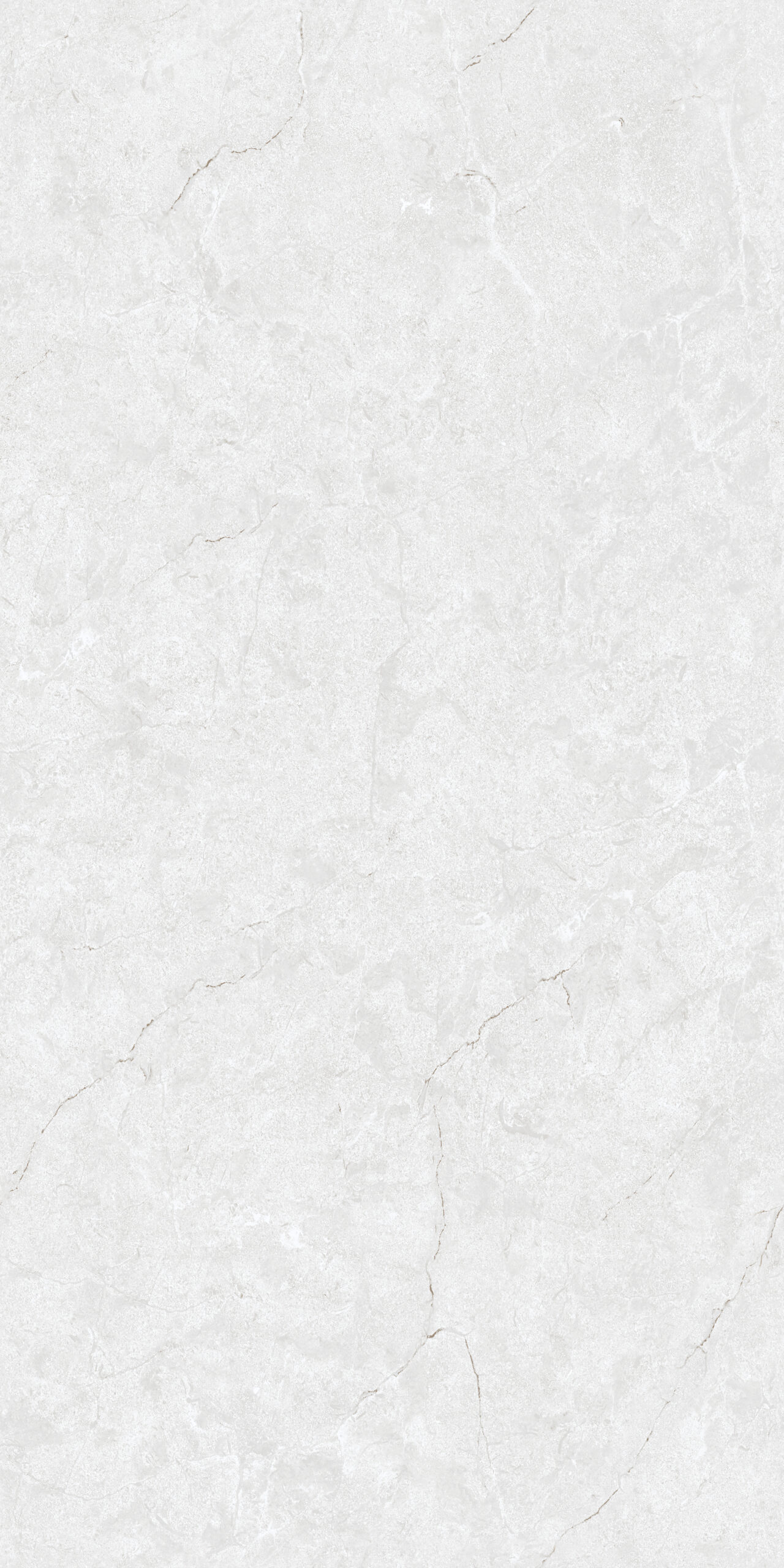 BLOSTER GREY Bloster Grey | 600x1200mm | Endless