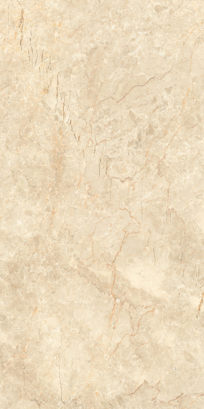 Burberry Beige Burberry Beige | 2x4 ft | Glossy Tiles