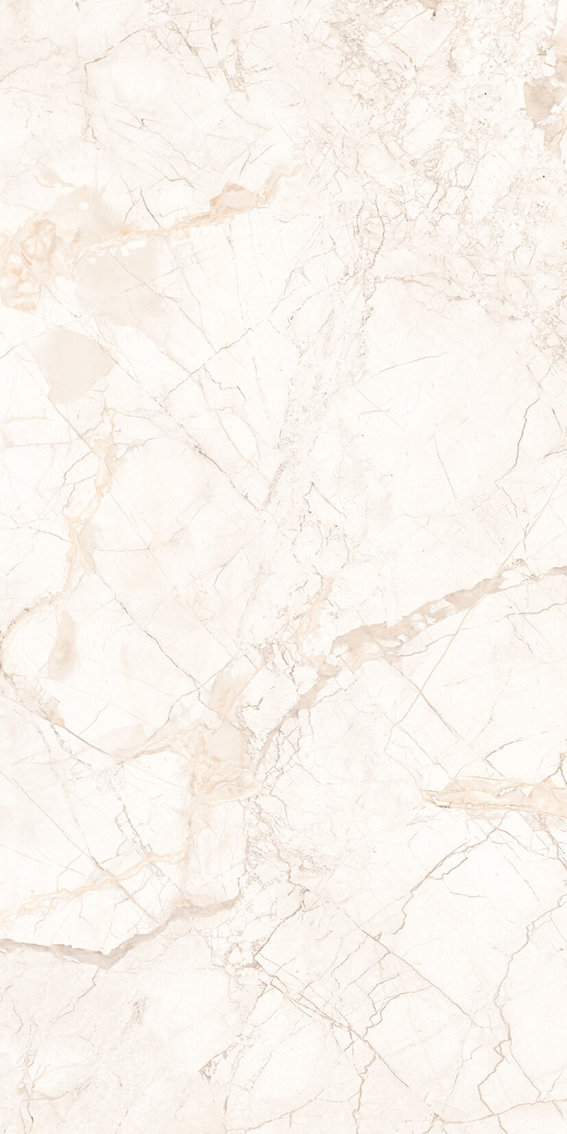 California Crema California Crema | 2x4 ft | Glossy Tiles
