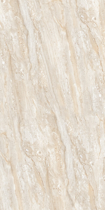 Carlos Muddy | 2x4 ft | Glossy Tiles