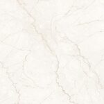 Classic Bottochino | 2x4 ft | Glossy Tiles