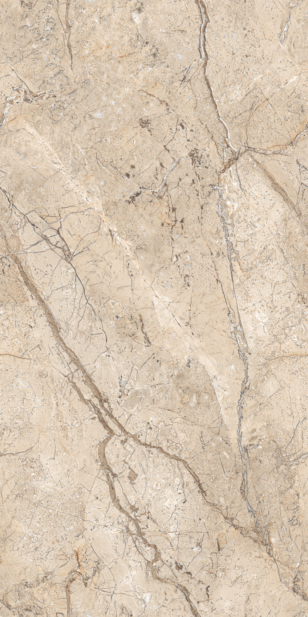 Coralito Beige Coralito Beige | 600x1200mm | Endless