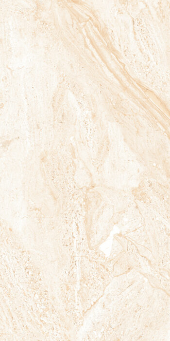 Dyna Royal | 2x4 ft | Glossy Tiles