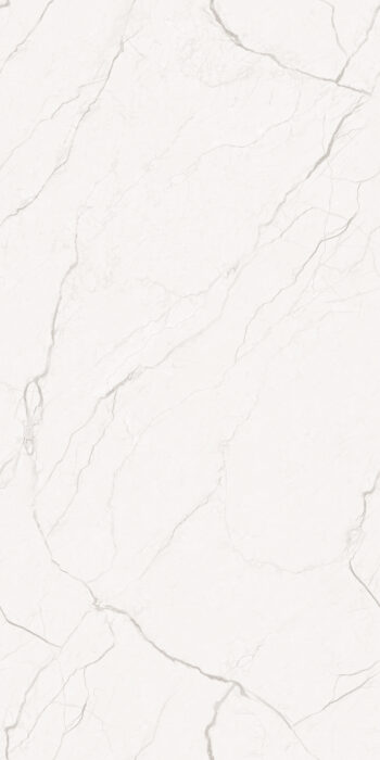Ebidon Bianco | 2x4 ft | Glossy & Carving Endmatch