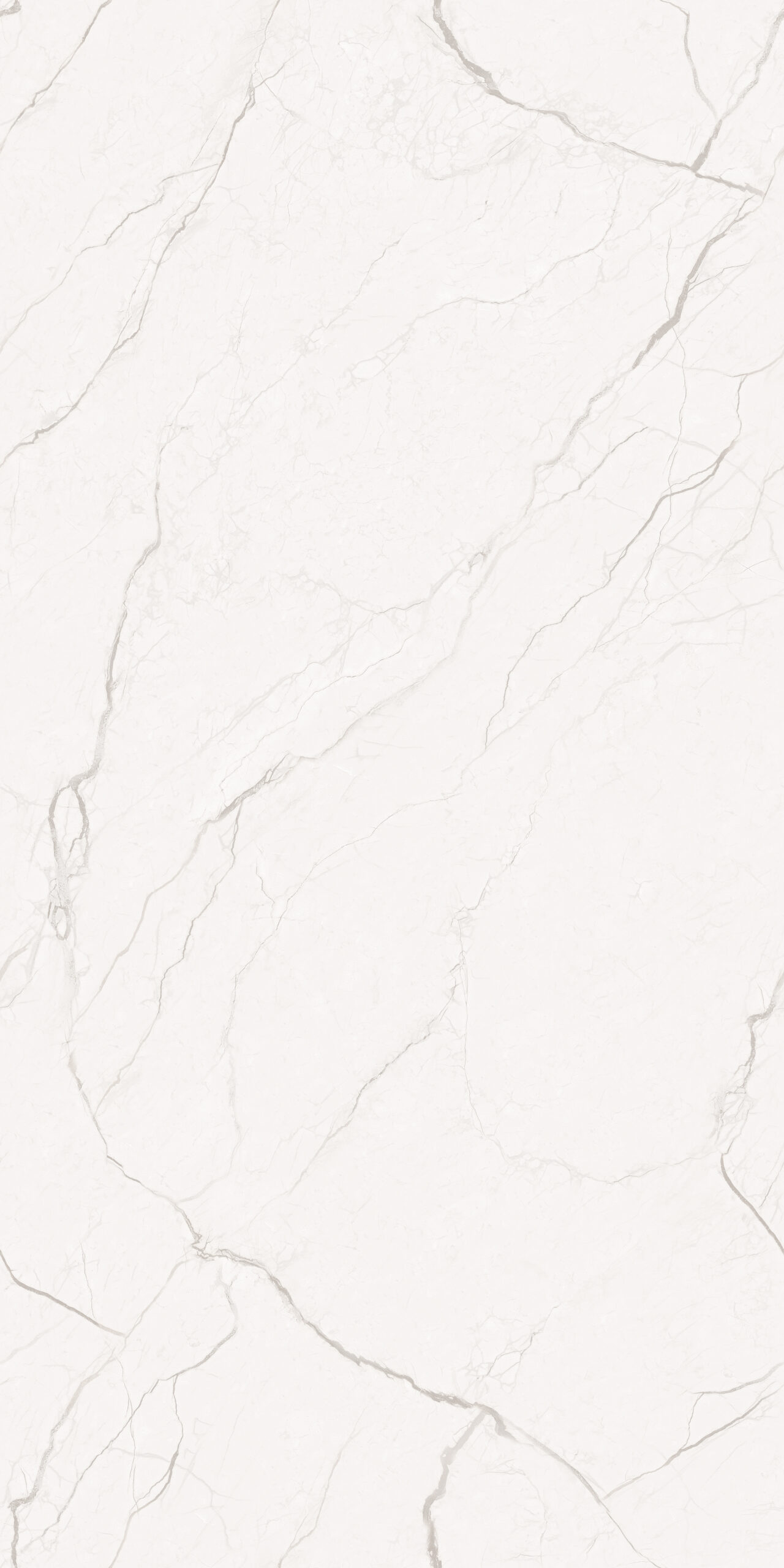 Ebidon Bianco Ebidon Bianco | 2x4 ft | Glossy & Carving Endmatch