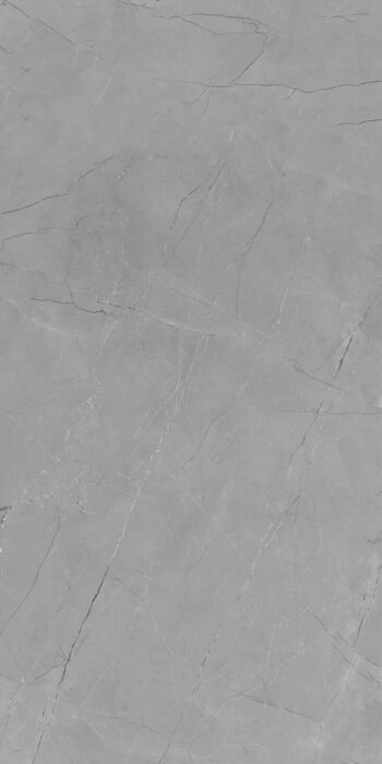 Fornes Pulpis Grey | 2x4 ft | Glossy Tiles