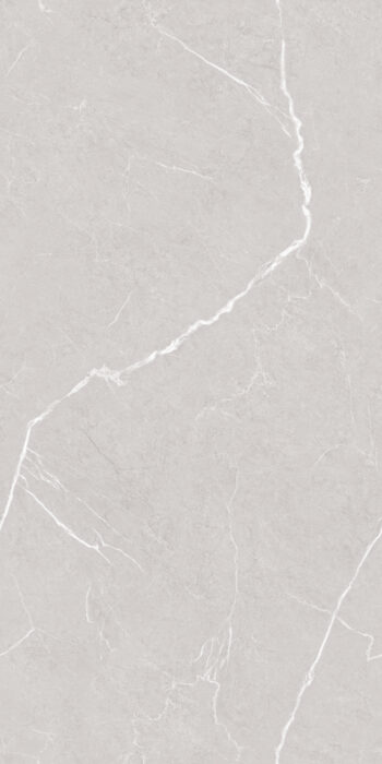 Frosty Silver | 600x1200mm | Endless