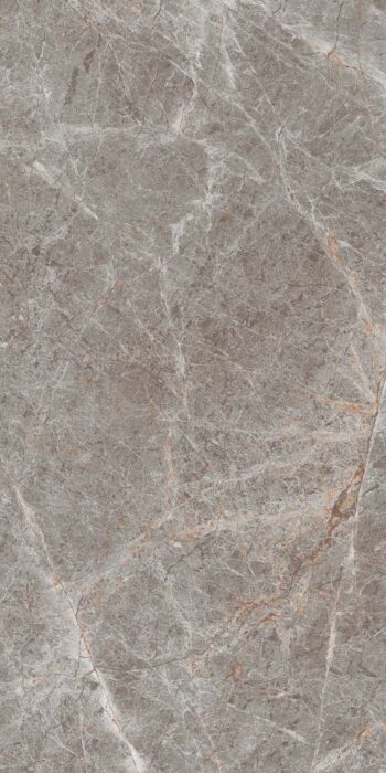 Fusion Grey | 2x4 ft | Glossy Tiles