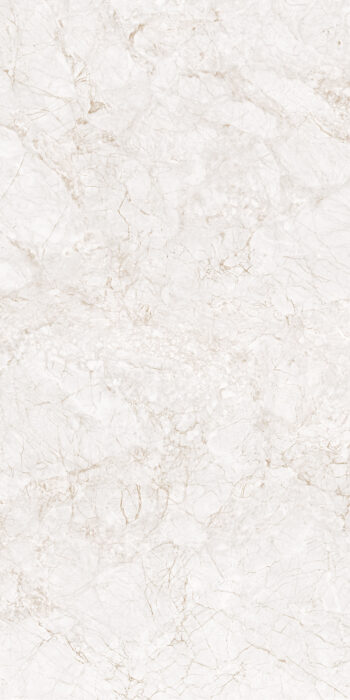 Hudson Bianco | 2x4 ft | Glossy Tiles