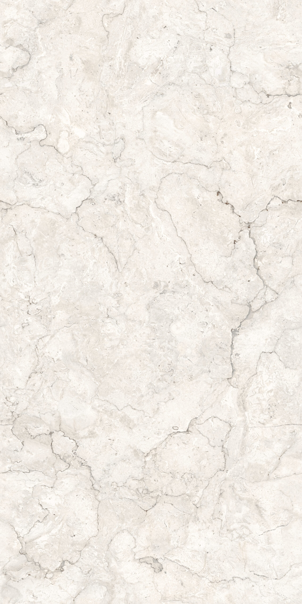 Karnova Fossil Karnova Fossil | 600x1200mm | Endless