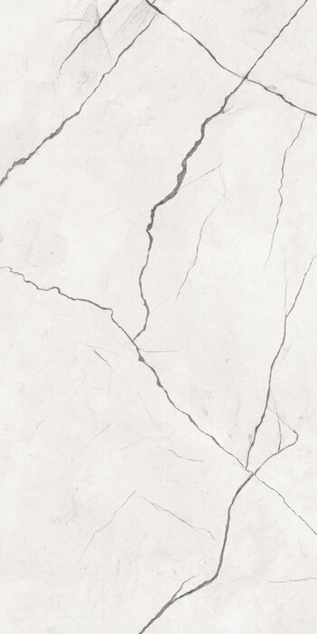 Mac Grey | 2x4 ft | Glossy Tiles