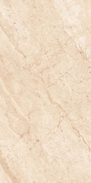 Martin Brown | 2x4 ft | Glossy Tiles