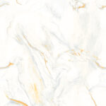 Slice Bianco | 2x4 ft | Glossy & Carving Endmatch