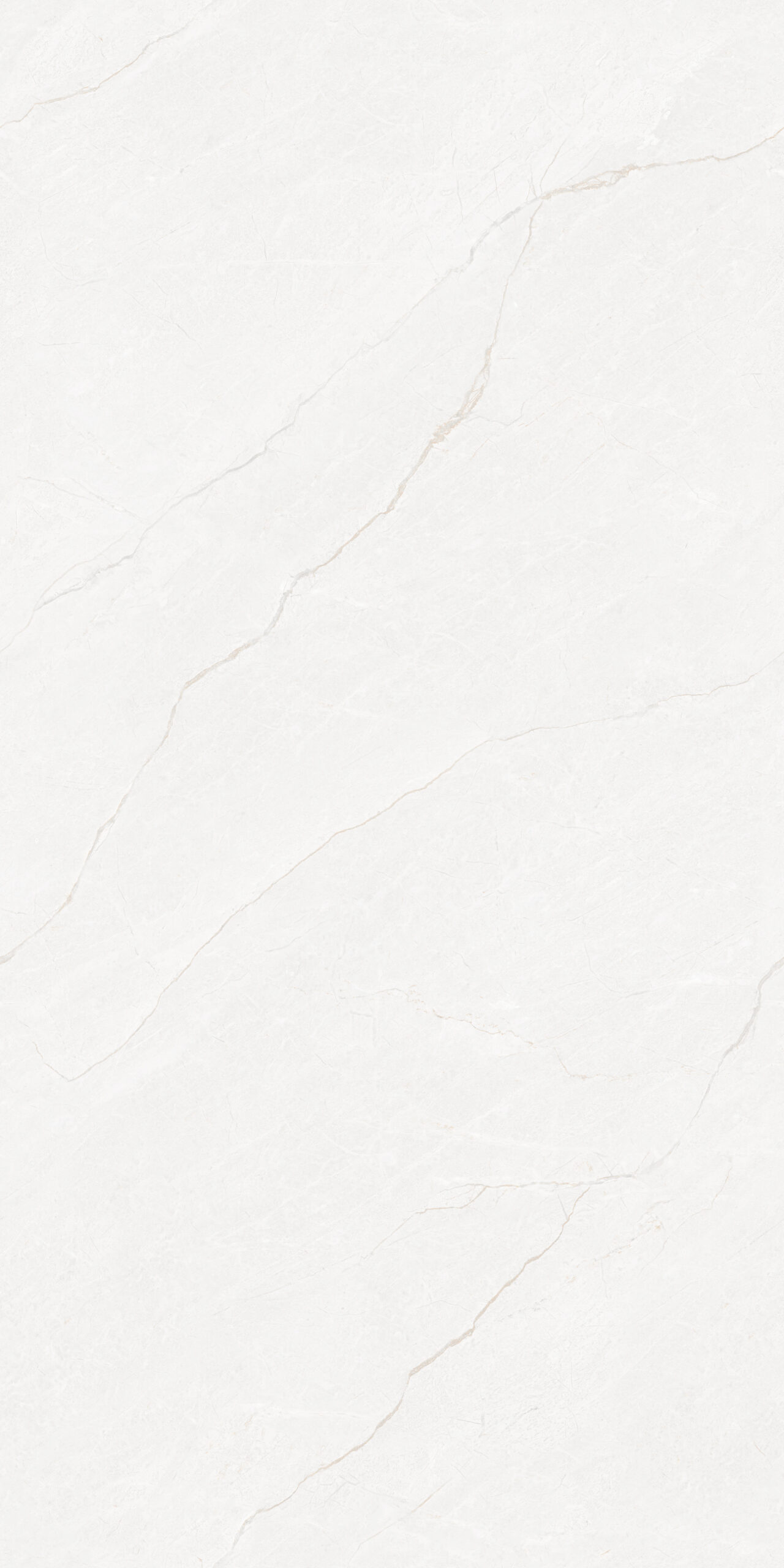Vinzo White Vinzo White | 2x4 ft | Glossy & Carving Endmatch