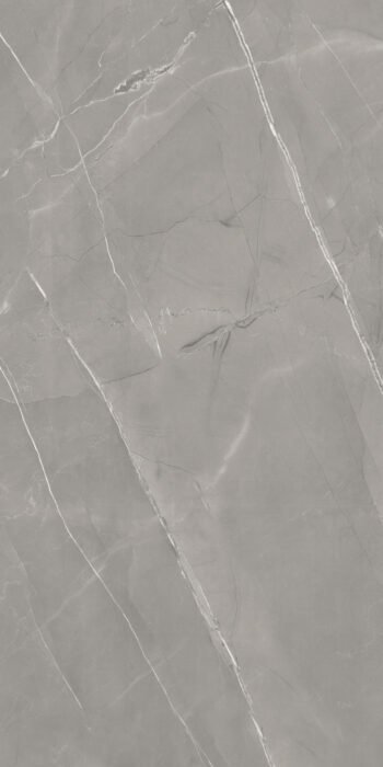 Alpain Grey CR | 2x4 ft | Carving Tiles
