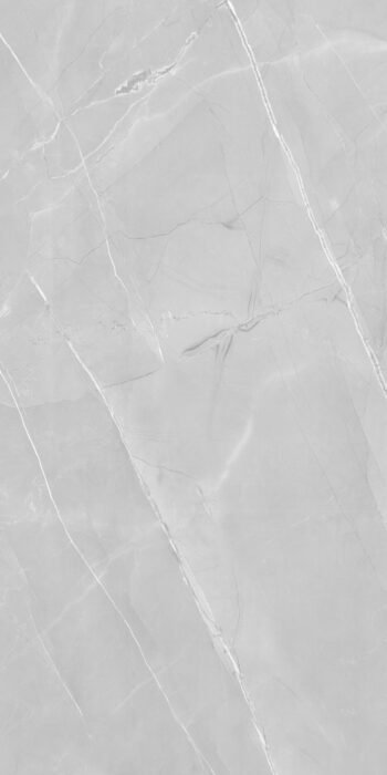 Alpain Silver CR | 2x4 ft | Carving Tiles