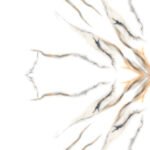 Book 576 | 600×1200 mm | Bookmatch Tile
