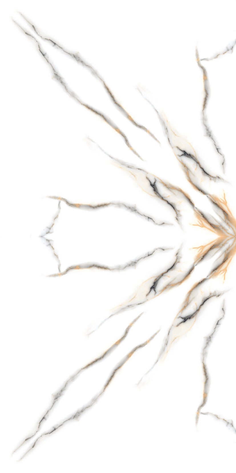 Book-576 Book 576 | 600×1200 mm | Bookmatch Tile