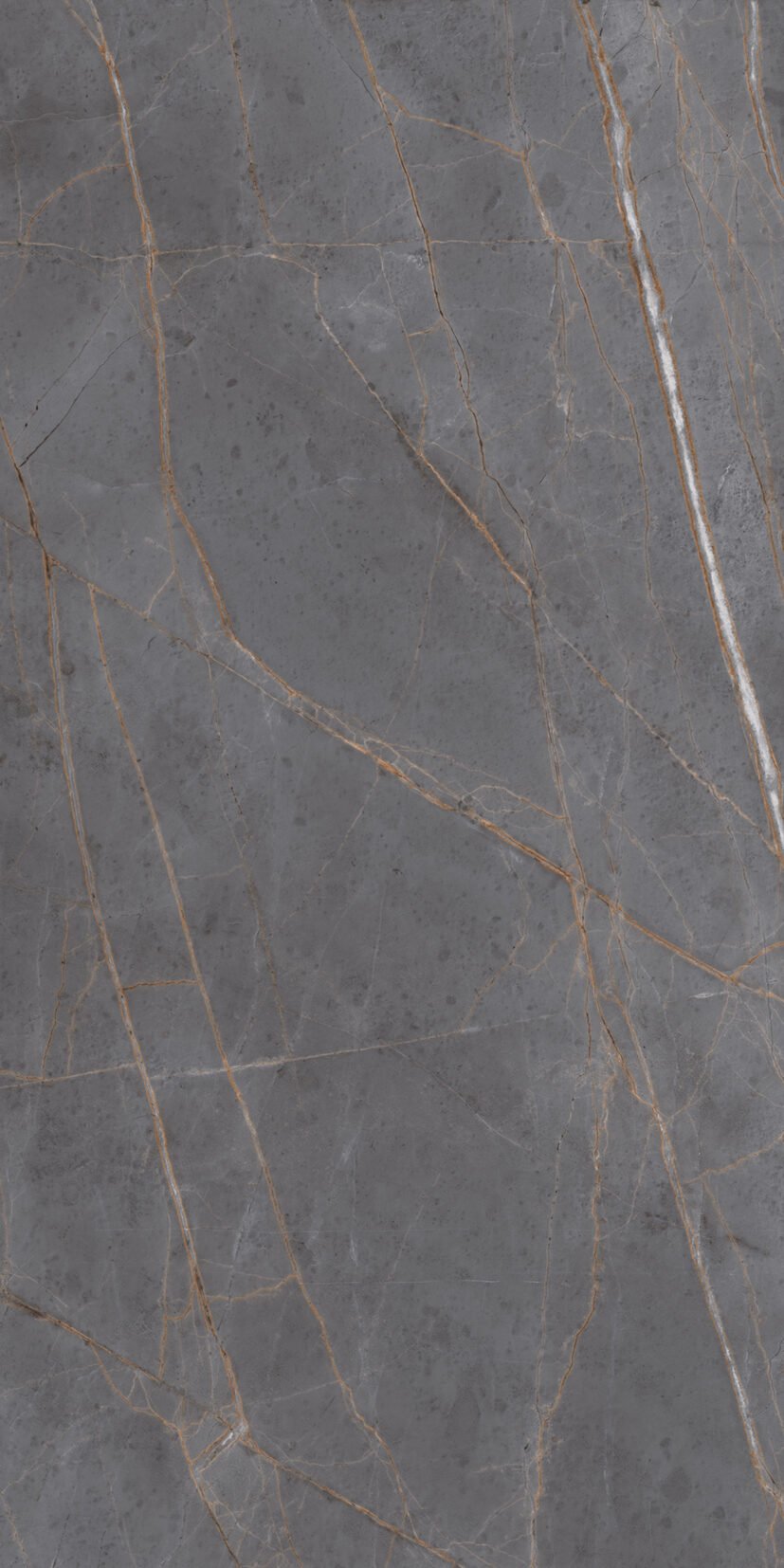 Elysee Grey Elysee Grey CR | 2x4 ft | Carving Tiles
