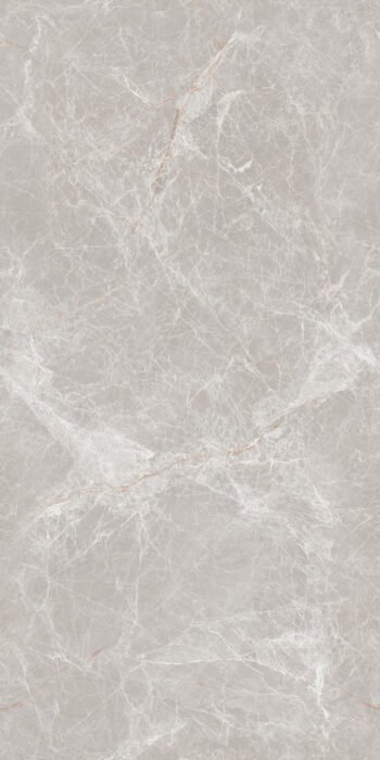 Parle Grey | Semi Highgloss | Ultra Glossy Tile