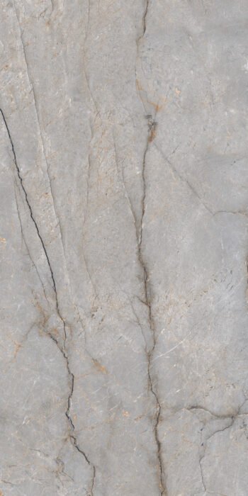 Silver River Grey CR | 2x4 ft | Carving Tiles