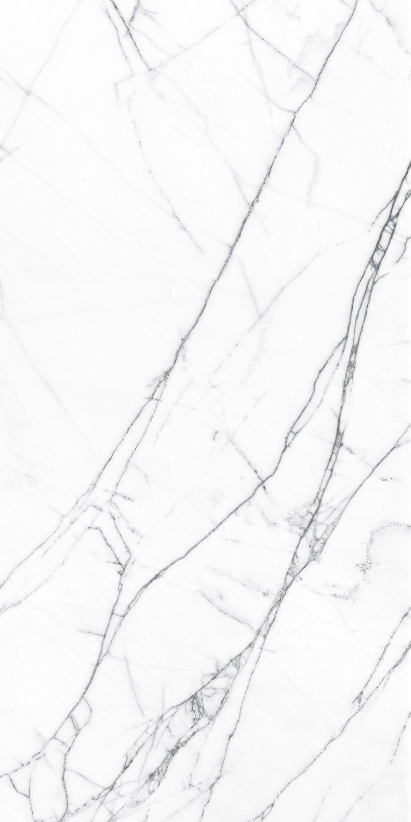 Statuario Bianco Statuario Bianco CR | 2x4 ft | Carving Tiles