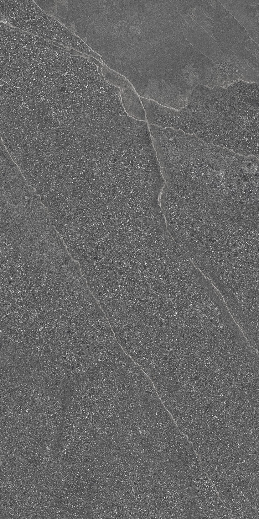 Begno Coal Begno Coal | 60x120 cm | Matt Gvt Tiles