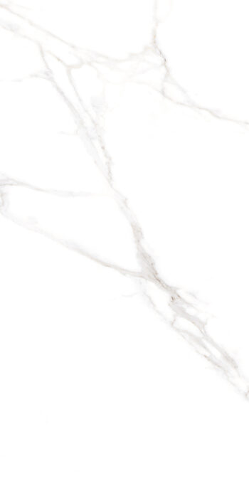 Bonto Statuario | 4X2 ft | Clasico Satvario Collection