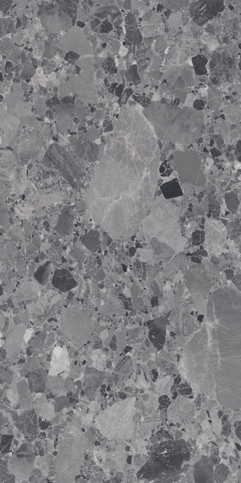 Caesarstone Grey Caesarstone Grey | 60x120 cm | Matt Gvt Tiles