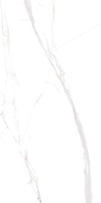 Calacatta Borghini Grey | 4X2 ft | Clasico Satvario Collection