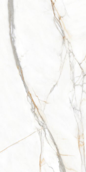 Calacatta Borghini Natural | 4X2 ft | Clasico Satvario Collection