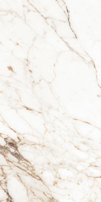 Calacatta Gold | 4X2 ft | Clasico Satvario Collection
