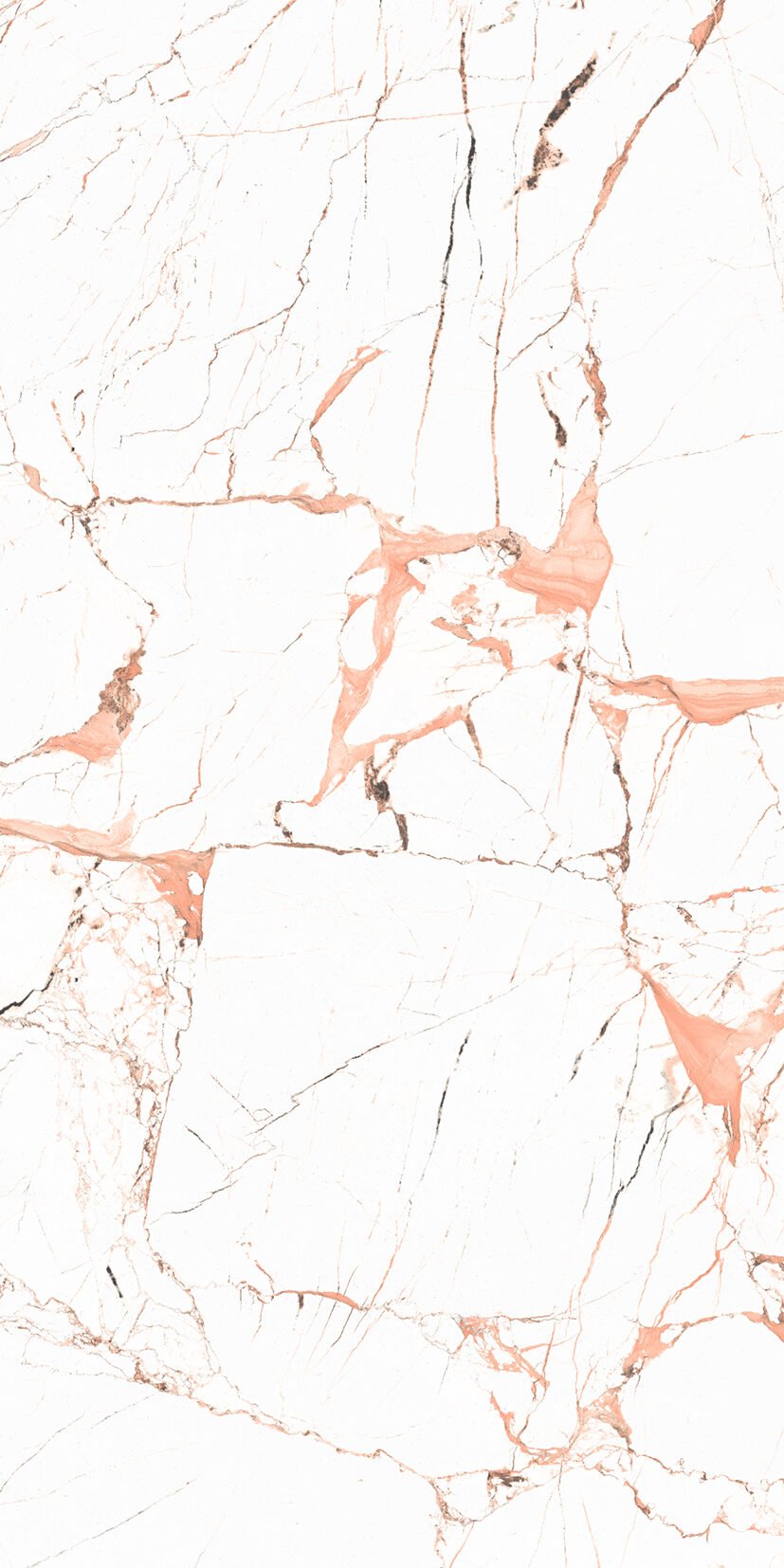 Camilia Red Camilia Red | 600x1200mm | High glossy Tiles