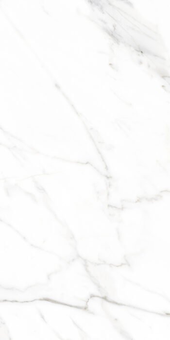 Circal Statuario | 4X2 ft | Clasico Satvario Collection
