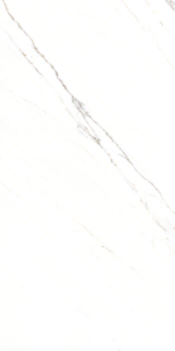 Corus Statuario | 4X2 ft | Clasico Satvario Collection