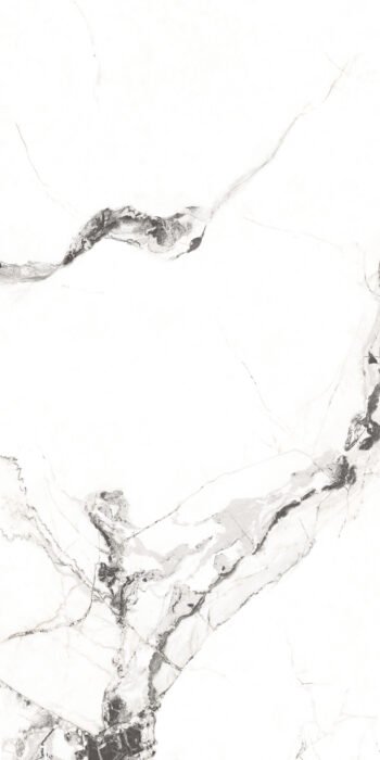 Diamond Carrara | 4X2 ft | Clasico Satvario Collection