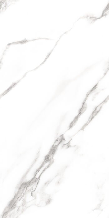 Dolomite Statuario | 4X2 ft | Clasico Satvario Collection