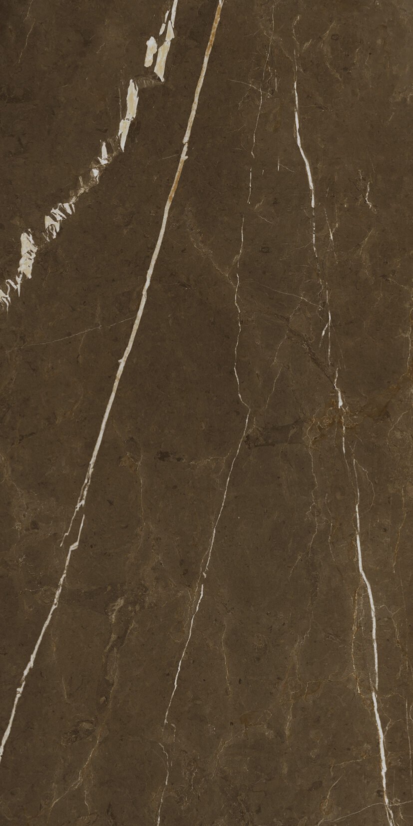 Elofar Brown Elofar Brown | 600x1200mm | High glossy Tiles