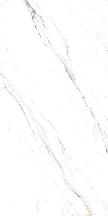 Eont Statuario | 4X2 ft | Clasico Satvario Collection