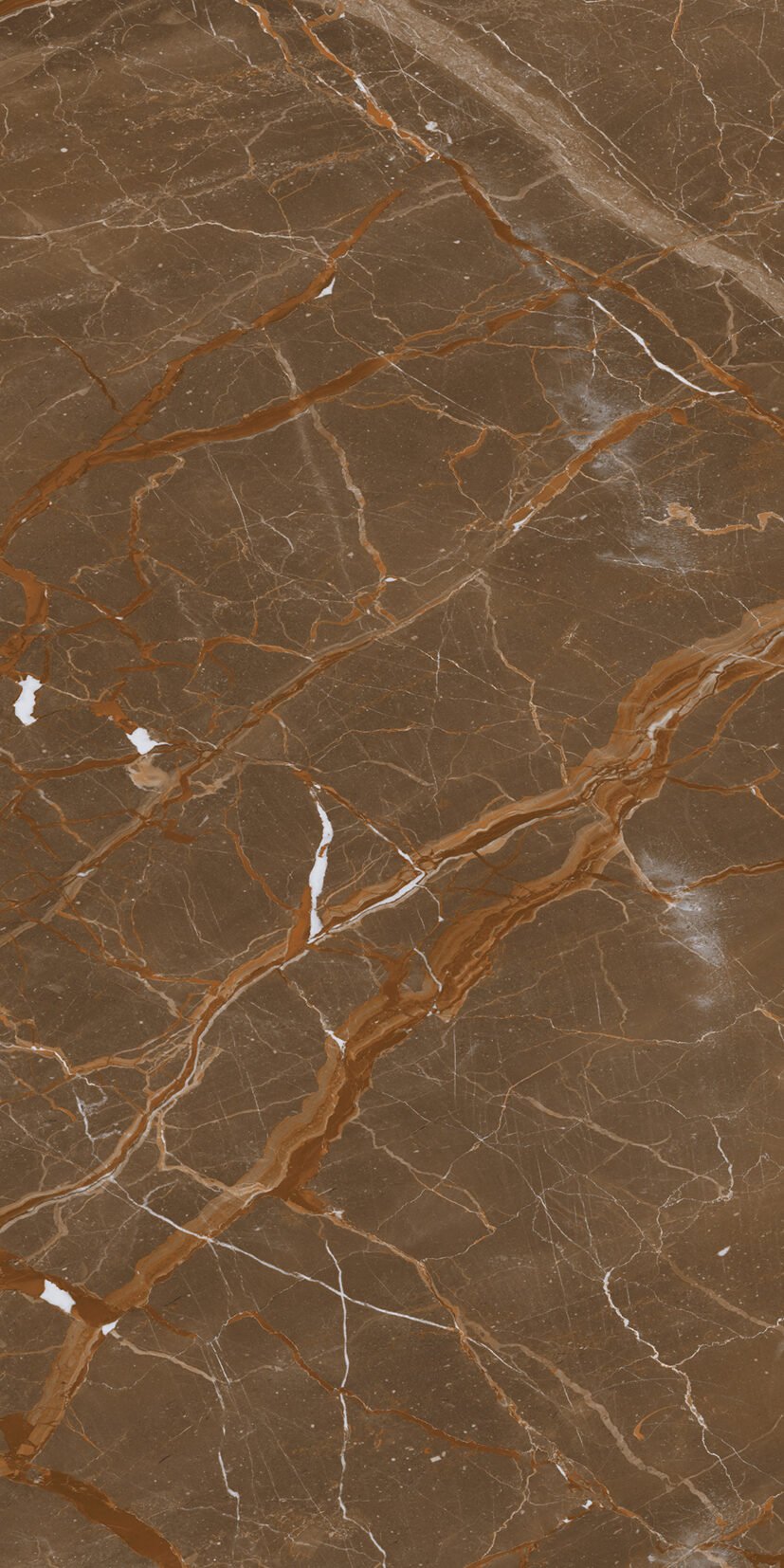 Estrada Brown Estrada Brown | 600x1200mm | High glossy Tiles