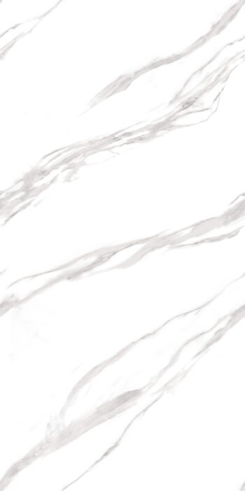 Europa Grey | 4X2 ft | Clasico Satvario Collection
