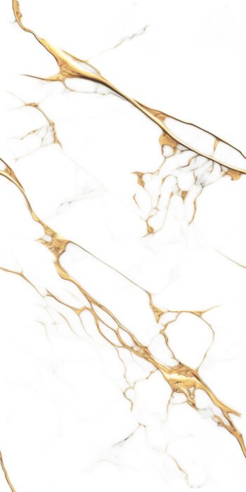 3118 | 2x4 ft | Golden Series Tiles